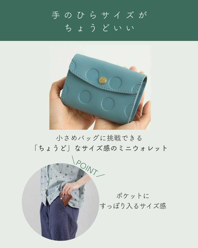 ミニ財布の色：上から　ソライロ・ダークブラウン