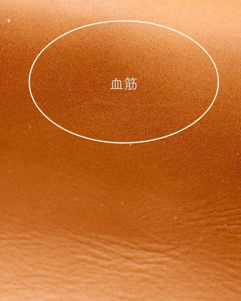 ナバルの革の血筋の例