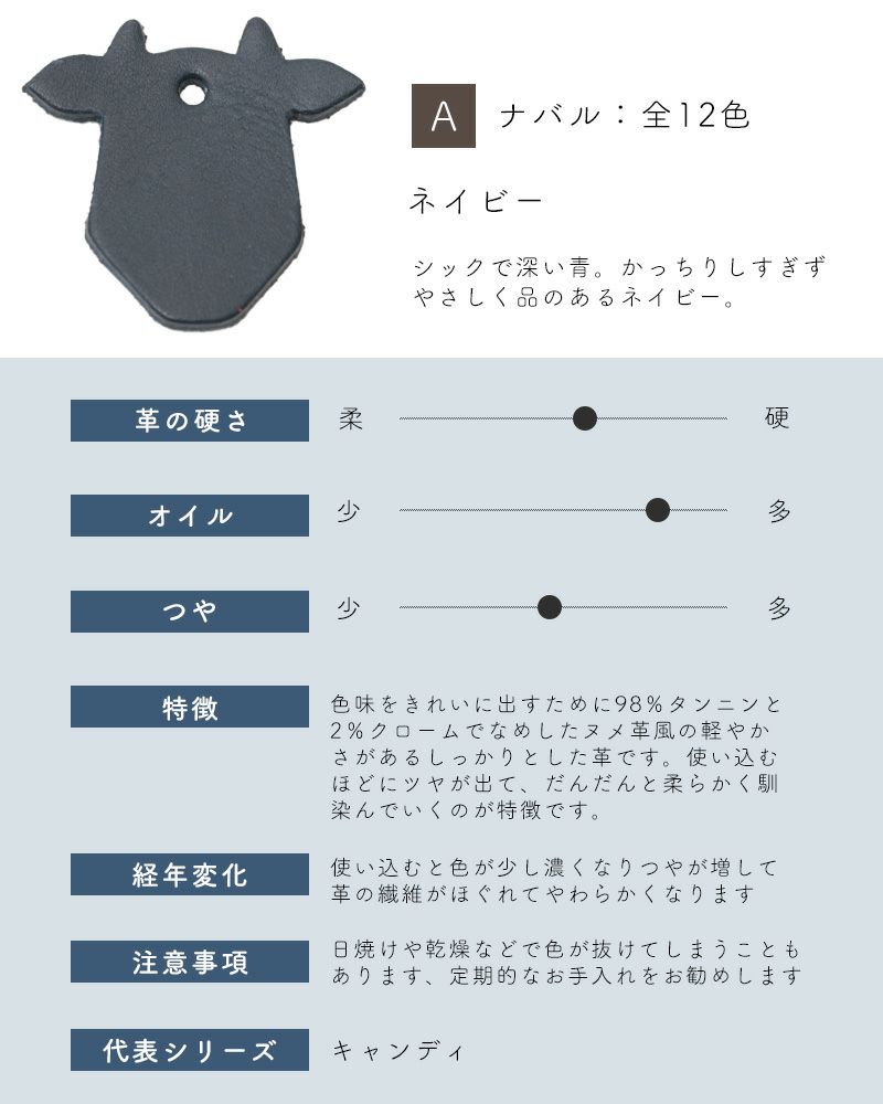 革サンプルA : ナバル　ネイビー
