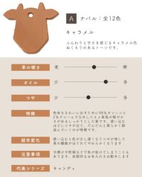 革サンプルA : ナバル　キャラメル