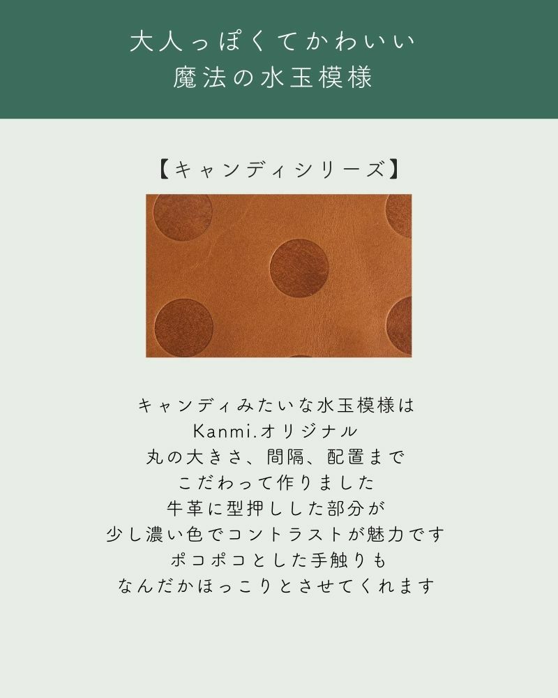 キャンディ Ｌ型カードパスケース