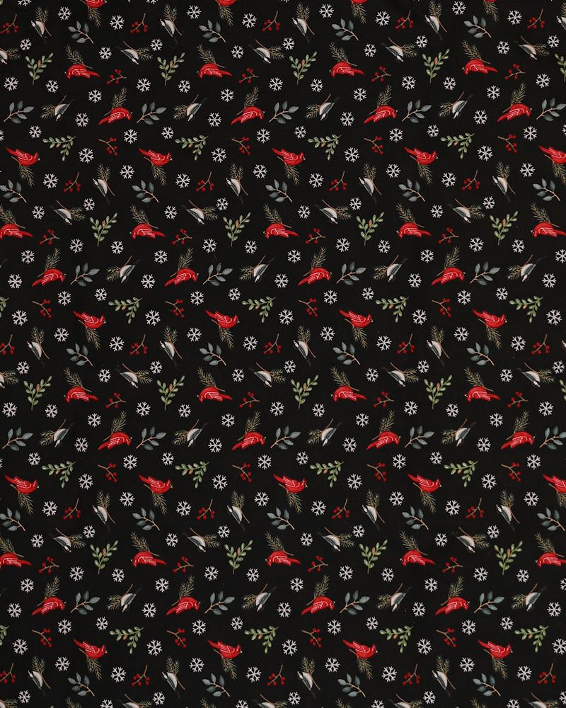 カラー：よるのとり／星明かりに導かれて、静かな夜空を羽ばたいていく。